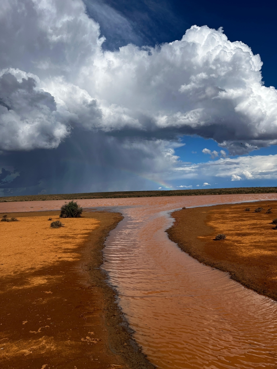 4 Bedroom Property for Sale in Calvinia Rural Northern Cape